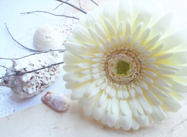 Гербера из фоамирана - Ченцова (2015)_0.png